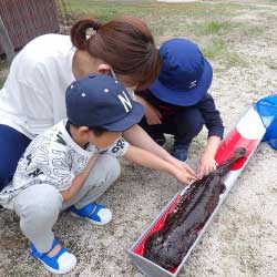 調査・観察会に参加する